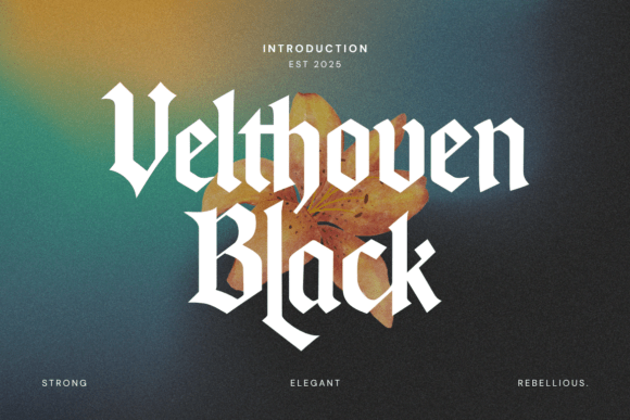 Velthoven Black: Redefining Gothic Typography for Modern Design Landscapes